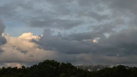 Dramatic Cloudy Sky Trees 스톡 동영상 320095066