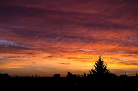 Dramatic cloudy sunset over silhouette dark city and tall pine tree in the di Fotos de archivo