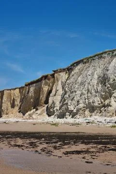 Dramatic Coastal Cliffs and Clear Blue Sky at Low Tide on a Summer Day 스톡 사진