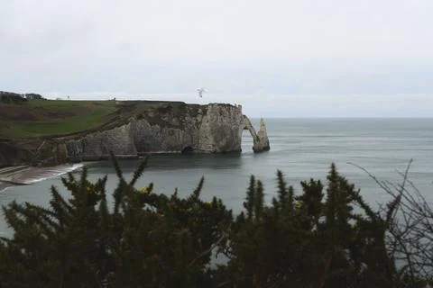 Dramatic coastal cliffs with flying seagull Stock Photos