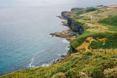 Dramatic coastal cliffs with lush green grass overlooking a calm, expansive o Stock Photos