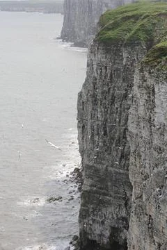 Dramatic coastal cliffs Stock Photos