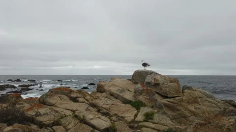 Dramatic coastal cliffs, rainy day, pacific ocean Stockbeeldmateriaal 111751801