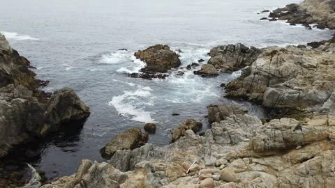 Dramatic coastal cliffs, rainy day, pacific ocean Stock Footage 111754875