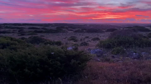 Dramatic coastal landscape with colorful sunset sky Stock Footage 336313673