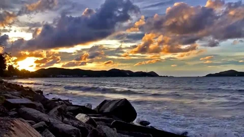 Dramatic Coastal Sunset with Driftwood and Ocean Waves Stock Footage 310376191