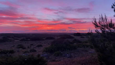 Dramatic colorful sunset sky painting over Lagos Portugal coast Stock Footage 336313183