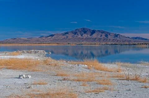 Dramatic Colors in the Great Basin Stockfoto's