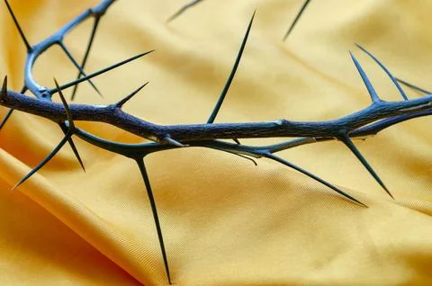 Dramatic Crown of Thorns on Dark Textured Background Representing Suffering Stock Photos