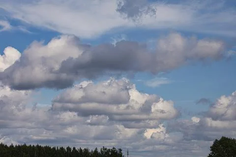 Dramatic cumulus clouds drift across a bright blue sky above a forest Stock Photos