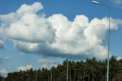 Dramatic cumulus clouds fill the sky above a dense pine forest and streetligh 스톡 사진