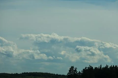Dramatic cumulus clouds gather over a dark forest canopy under a pale blue sk Stock Photos