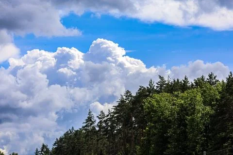 Dramatic cumulus clouds gather over a dense forest canopy under a bright bl.. 写真素材