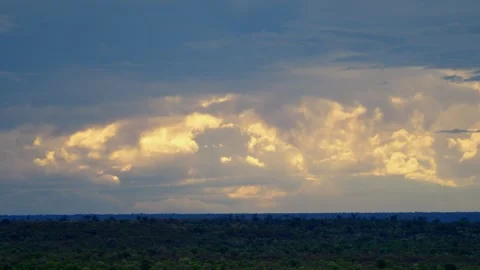 Dramatic cumulus clouds over the flat African bush Video stock 345521304
