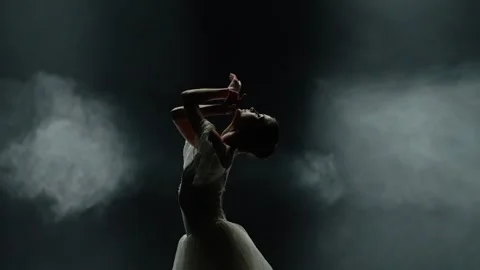 Dramatic dance, graceful ballerina in a white tutu, ballerina perform Stock Footage 245433191