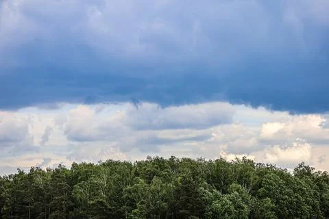 Dramatic dark clouds gather over a dense green forest canopy Foto stock