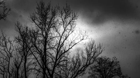 Dramatic dark sky with falling snow Stock Photos