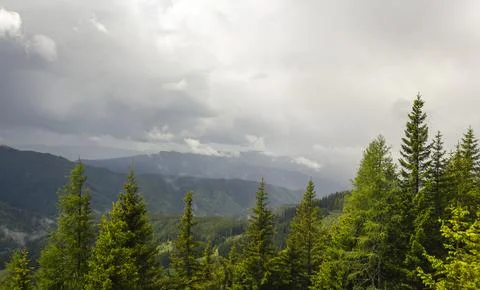 Dramatic Dark Storm Clouds and Mist Above Lush Evergreen Forest and Layered.. Stock-Fotos