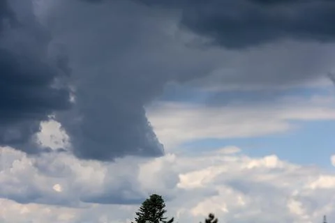 Dramatic dark storm clouds gather over a serene blue sky with treetops 스톡 사진