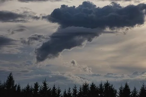 Dramatic dark storm clouds gather over a silhouetted pine forest Stock Photos