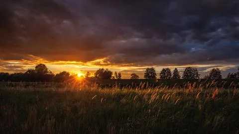 Dramatic dark stormy sky over a summer grass field at sunset with sun rays .. Stock Photos