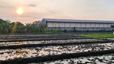 Dramatic Dawn Sky and Bright Sun Reflection in Tranquil Countryside Farm Stock Footage 334854087