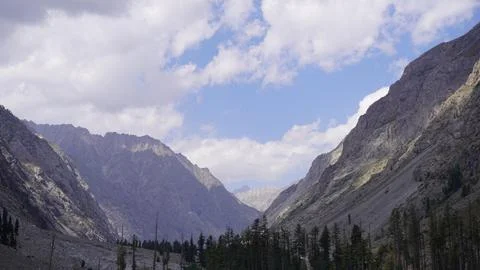 Dramatic deep mountain valley with steep rocky cliffs, evergreen forest. Stock Photos