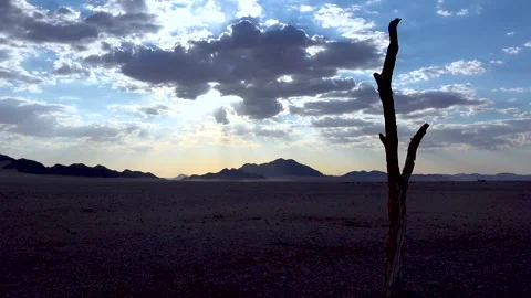 Dramatic desert landscape at sunset with dead tree and sunbeams breaking th.. Stock Footage 337806413