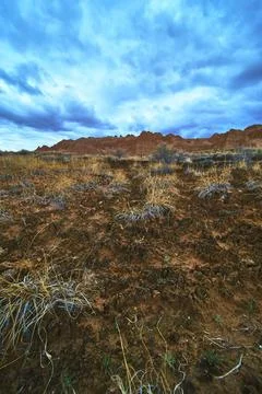 Dramatic Desert Sky and Rugged Ground Textures in Cathedral Gorge State Park Foto stock