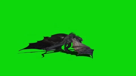 Dramatic dragon flight on green screen background 動画素材 337443925