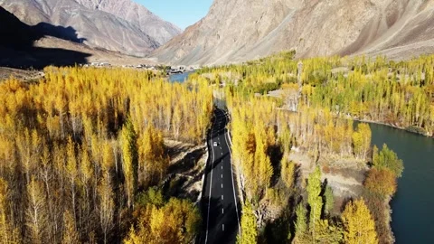 Dramatic drone pass over autumn trees along a crystal-clear mountain river. Stock Footage 310781989