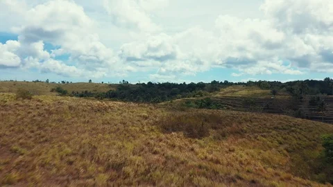 Dramatic Drone Shot Close to Ground of Teletubbies Hill. Tropical Savanna Stock Footage 113887709