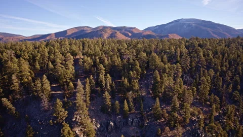 Dramatic drone shot of rocky New Mexico cliffs dotted with small tree islands 動画素材 332738873