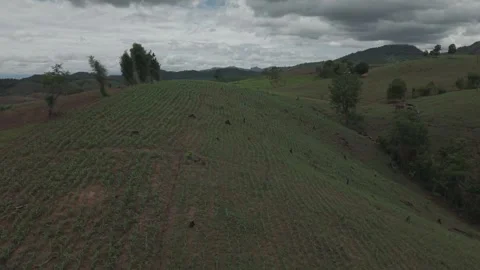 Dramatic Drone View of Green Rolling Hills, Misty Mountain Backdrop and Ove.. Stock Footage 337390689