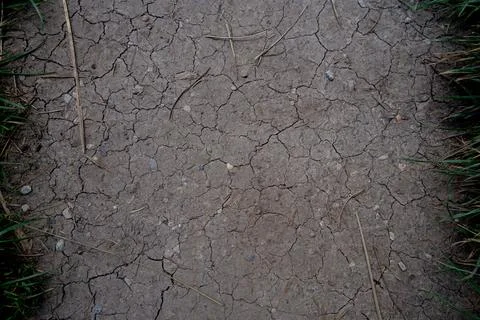 Dramatic dry cracked soil framed by grass during a hot summer day  Stock Photos