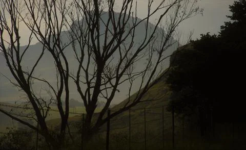 Dramatic Dusk Tree silhouette Dragon Mountains Stock Photos