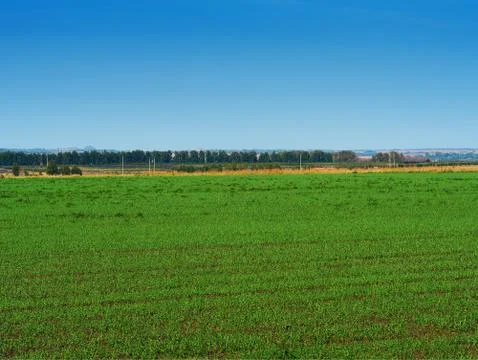 Dramatic ecological meadow landscape background Foto stock