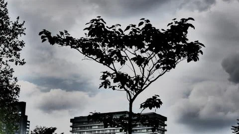 Dramatic effect of a light dark contrast, part from office buildings behind Stock Photos