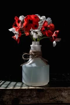 Dramatic effect. Poppy flowers on an old wooden table in a plastic bottle tie Stock Photos