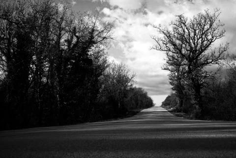 Dramatic empty road scene with trees Foto stock