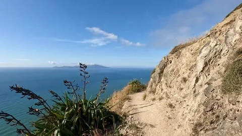 Dramatic Escarpment Track Walk on Kapiti Coast  Stunning Views of Kapiti Is.. Stock Footage 285134895