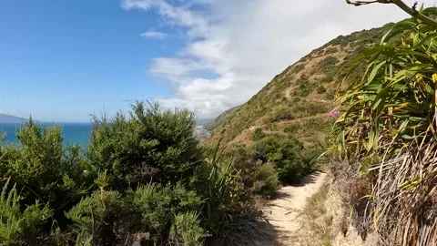 Dramatic Escarpment Track Walk on Kapiti Coast  Stunning Views of Kapiti Is.. Stock Footage 285134896