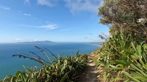 Dramatic Escarpment Track Walk on Kapiti Coast  Stunning Views of Kapiti Is.. Stock Footage 285135400