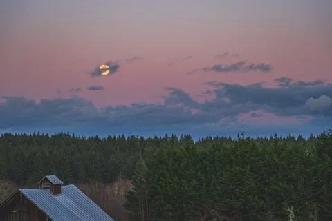 Dramatic Evening sky with yellow moon rising over County scene 写真素材