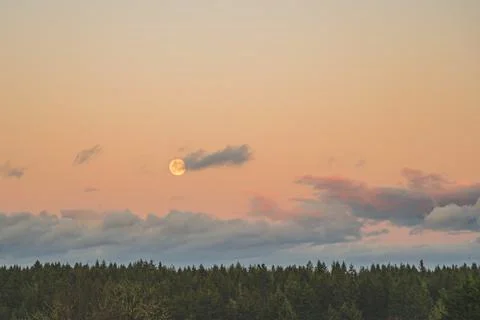 Dramatic Evening sky with yellow moon rising over forest County scene 写真素材