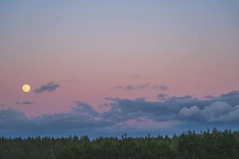 Dramatic Evening sky with yellow moon rising over forest country scene 写真素材