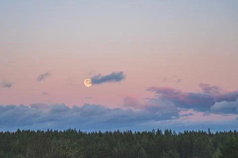 Dramatic Evening sky with yellow moon rising over forest country scene Stock Photos