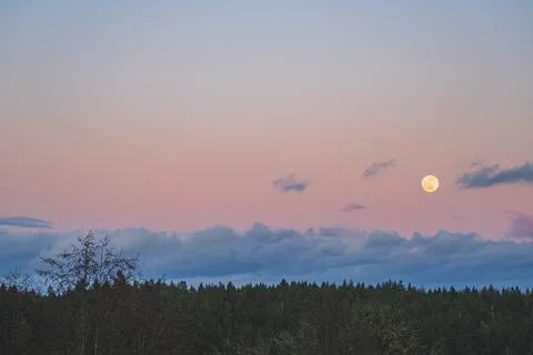 Dramatic Evening sky with yellow moon rising over forest country scene 写真素材
