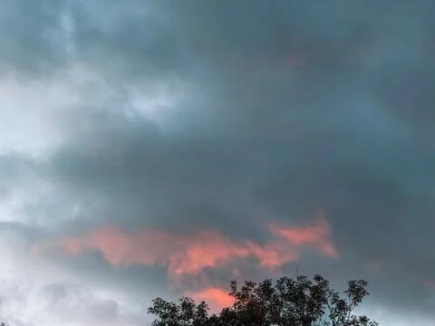 Dramatic evening storm clouds with pink sunset light over tree silhouette 库存照片