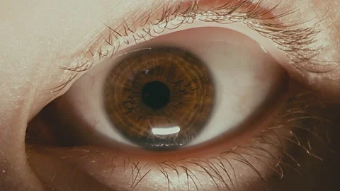 Dramatic, extreme close up of a scared eye looking around. Loop. Stock Footage 197305959